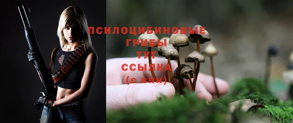 дурь Белокуриха
