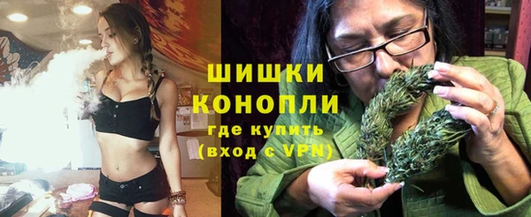 ПСИЛОЦИБИНОВЫЕ ГРИБЫ Балабаново
