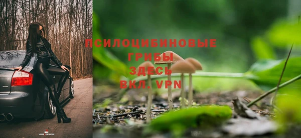 дурь Белокуриха