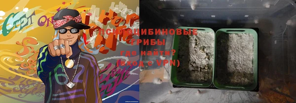 дурь Белокуриха