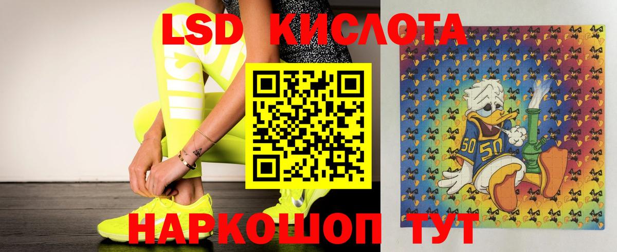 Сегежа  ЛСД экстази кислота  Лсд 25 экстази кислота  Вход с VPN 