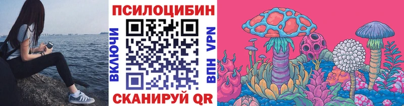 купить   Сегежа  omg как зайти  Псилоцибиновые грибы мицелий 