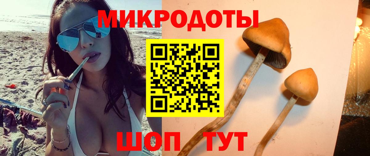 Галлюциногенные грибы Magic Shrooms  купить   Сегежа  Вход с VPN 